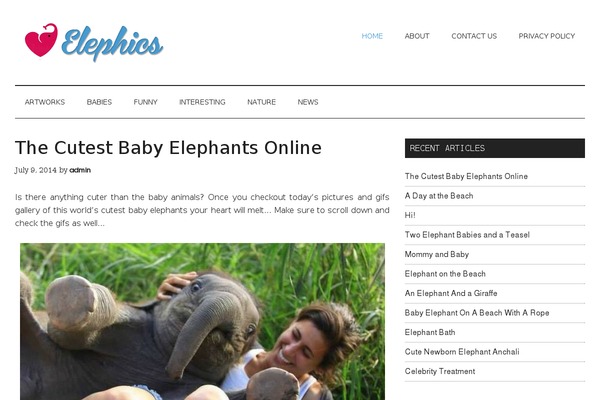 Magazine Pro theme site design template sample