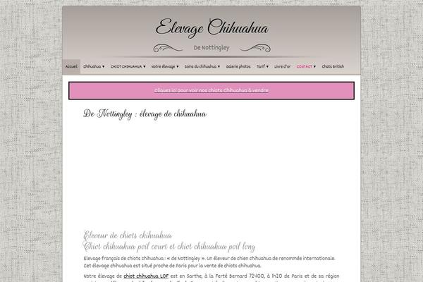 elevage-chihuahua.com site used Chihuahua