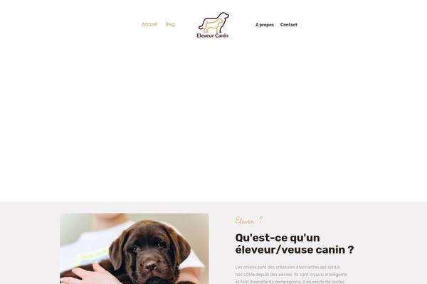 Petsland theme site design template sample