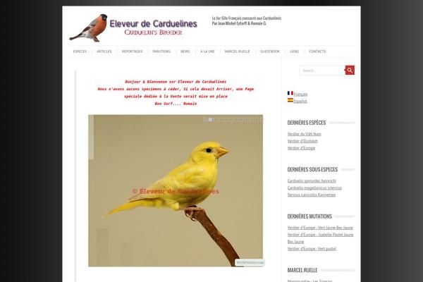 WordPress website example screenshot