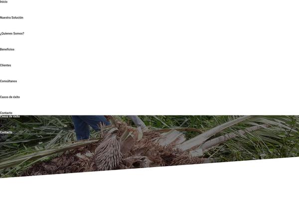 The7 theme site design template sample
