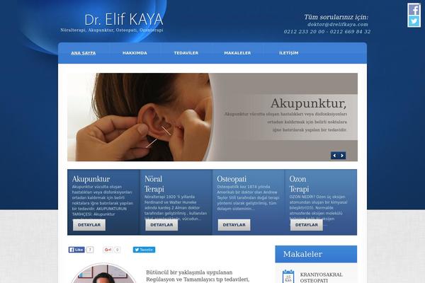 elifkaya.net site used Theme1623