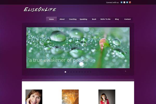 eliseonlife.com site used Brilliantedit