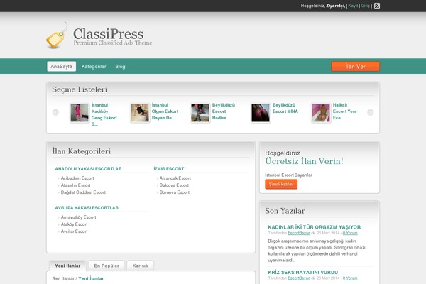 WordPress website example screenshot