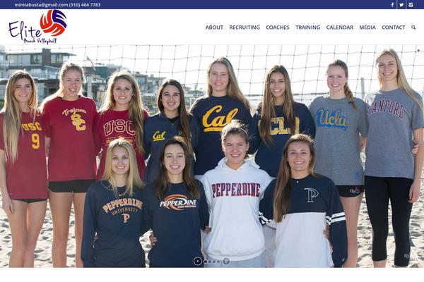 Enfold theme site design template sample