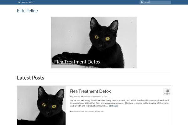 Virtue theme site design template sample