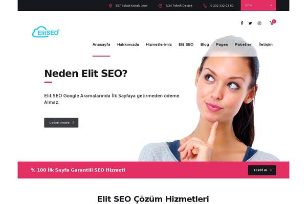 elitseo WordPress theme, websites list used elitseo theme elitseo theme websites examples