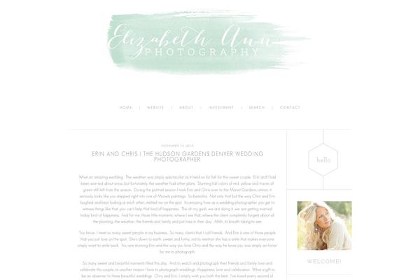 WordPress website example screenshot