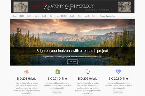 WordPress website example screenshot