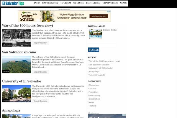 WordPress website example screenshot