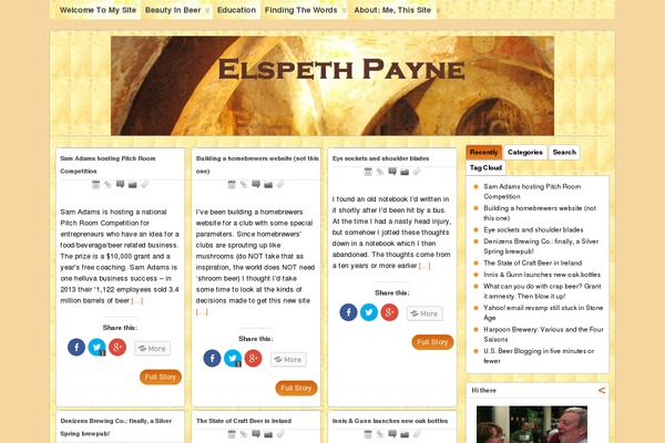 WordPress website example screenshot