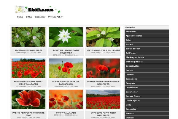Wallpresss theme site design template sample