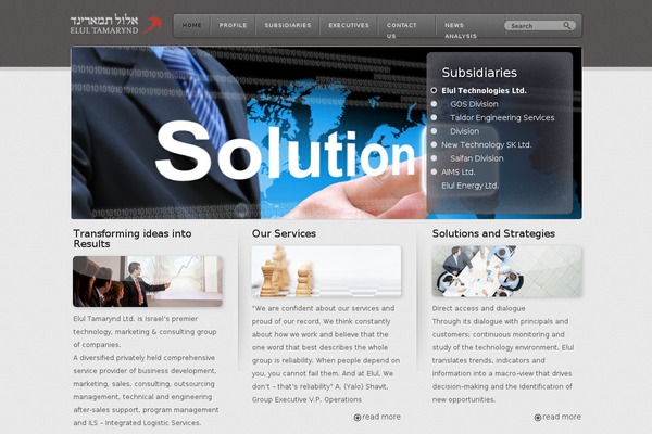 Chameleon theme site design template sample