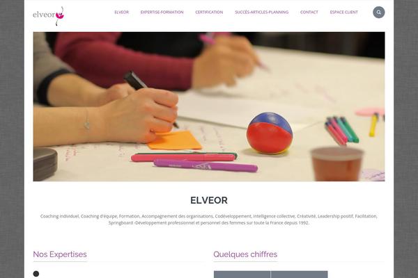 Elvyre theme site design template sample