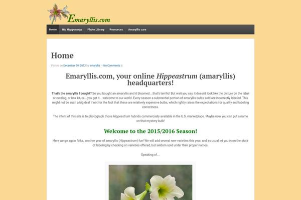 emaryllis.com site used Reponsive-emaryllis