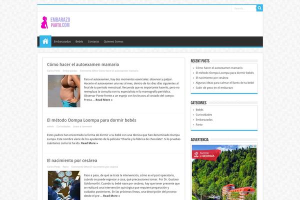 WordPress website example screenshot