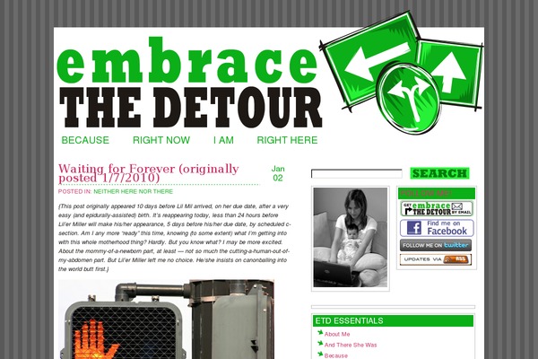 Embrace theme site design template sample