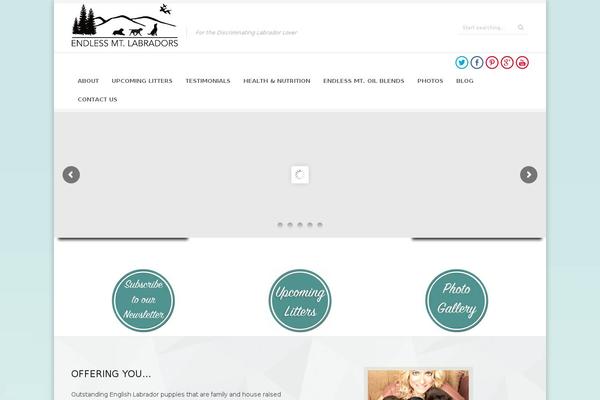 Corporative theme site design template sample