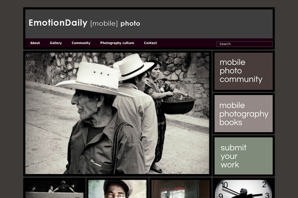 emotiondaily.com site used Mint2