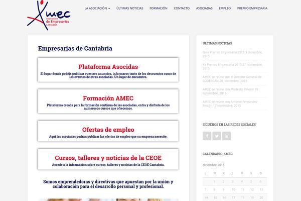amec theme websites examples