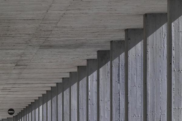 Site using Perfmatters plugin