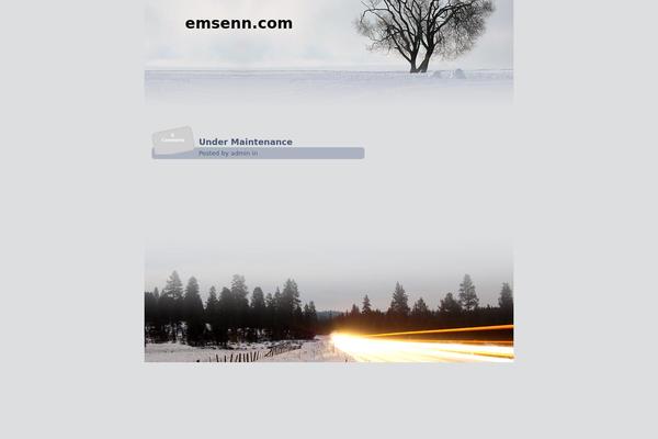 emsenn.com site used Arctic-15