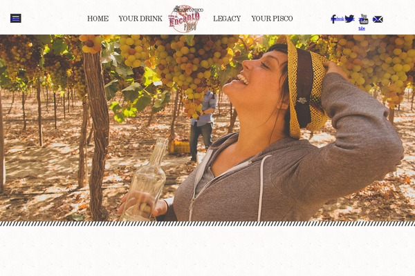 encanto WordPress theme, websites list used encanto theme encanto theme websites examples