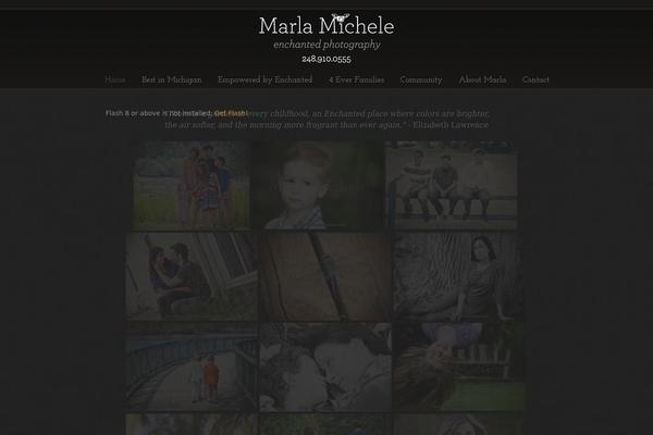 Photocrati theme site design template sample