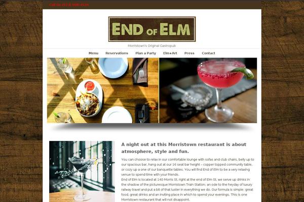 Salient theme site design template sample