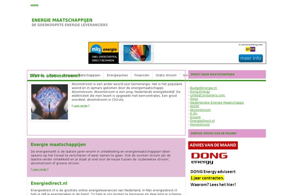 energie-maatschappijen.com site used PinkSimpleScheme