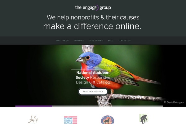 engageyourcause.com site used Engagetheme