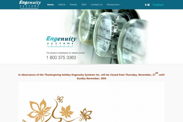 engenuity.com site used Engenuity
