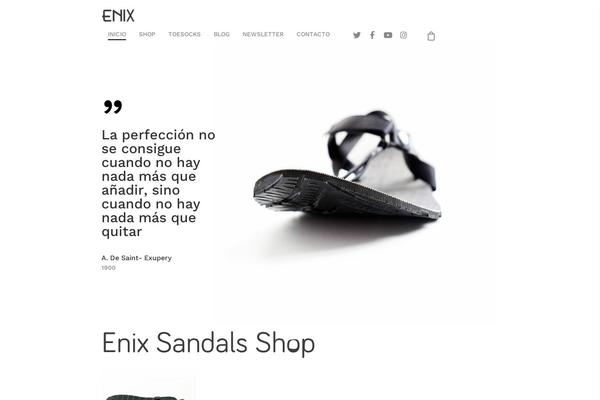 Salient theme site design template sample