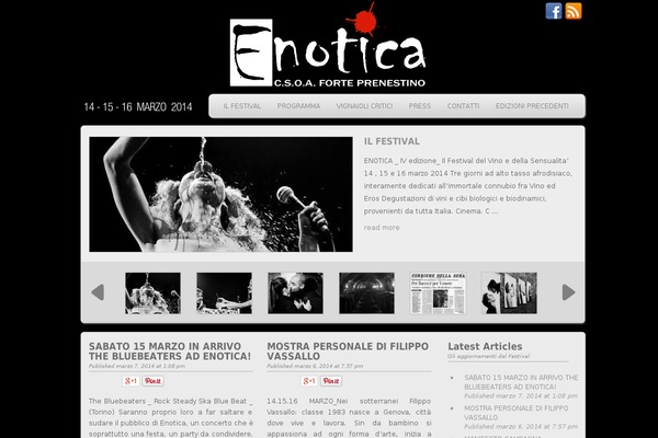 Flavita theme site design template sample
