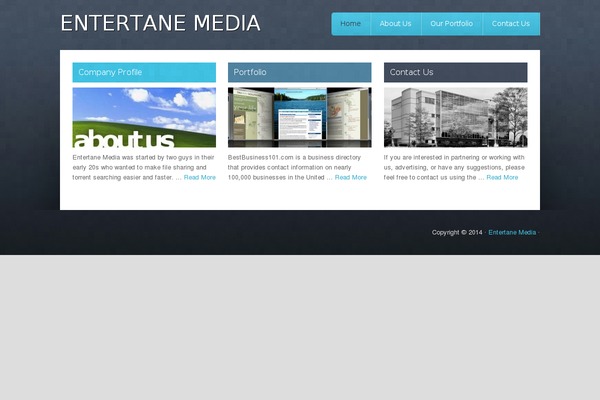 Authentic theme site design template sample