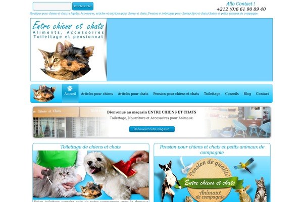 entre-chiens-et-chats-agadir.com site used Agadirweb_framwork-ececa_v-3.2