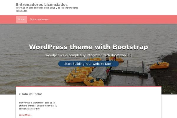 Woodpecker theme site design template sample