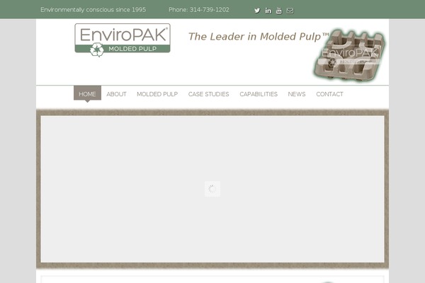 Site using Better WordPress Minify plugin