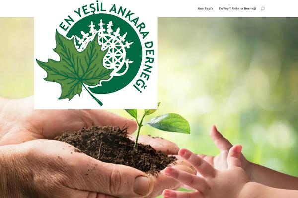 Divi theme site design template sample
