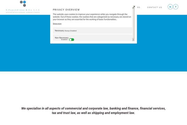 Bridge Child theme site design template sample