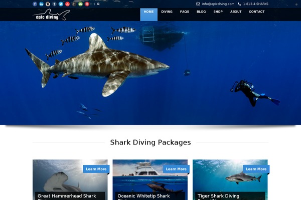 epicdiving.com site used Tour Package