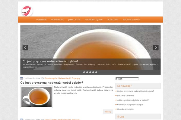 epigulis.pl site used Betterfinance
