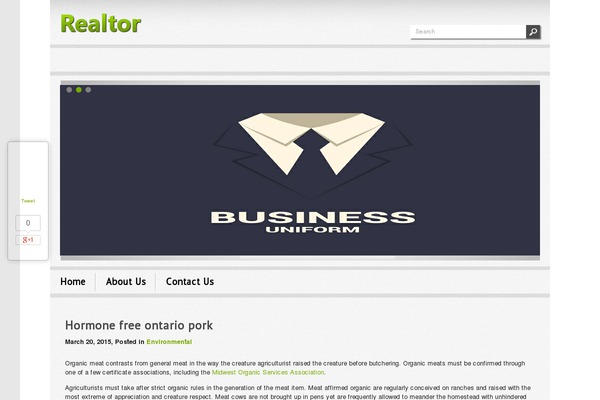 Realtor theme site design template sample