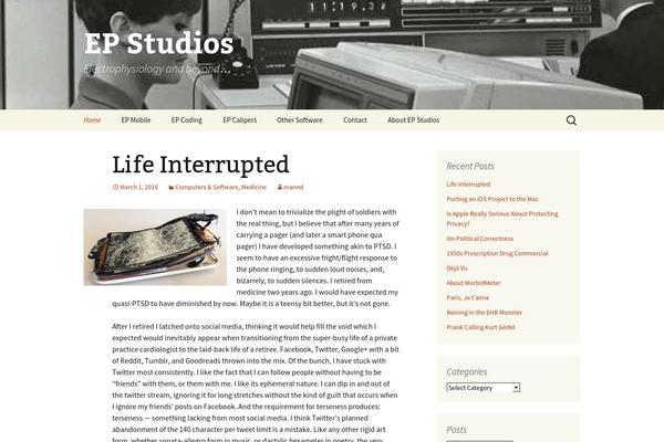 Twenty Thirteen theme site design template sample