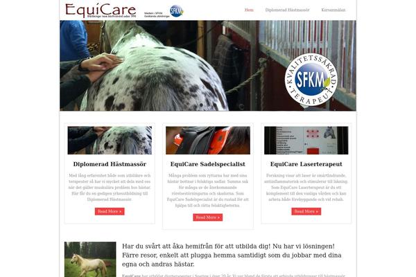 equicare.se site used Minimaze