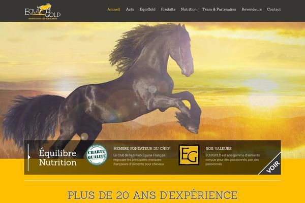 equigold.fr site used Equigold