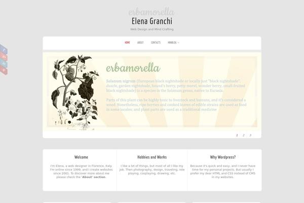 Zenon_lite theme site design template sample