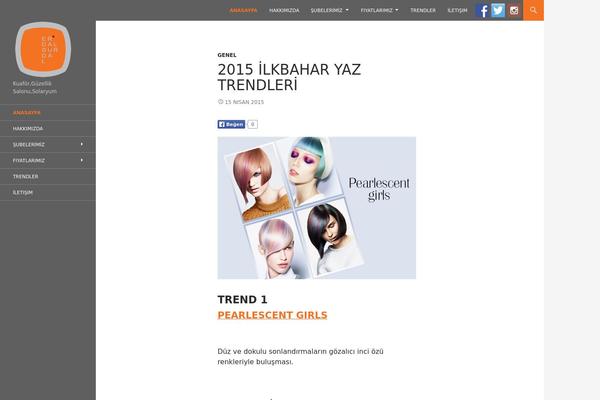 WordPress website example screenshot