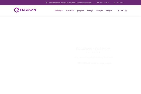Consulting theme site design template sample