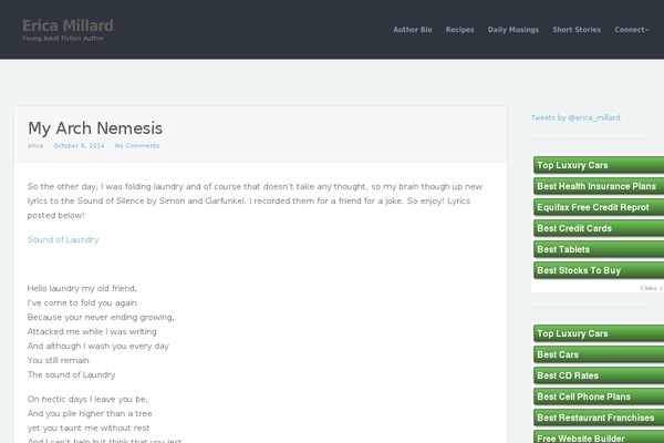 Writer theme site design template sample